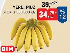 YERLİ MUZ YERLİ MUZ